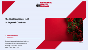 14 Days Until Christmas Infographic