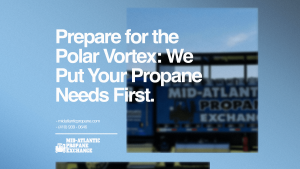 Polar Vortex Infographic