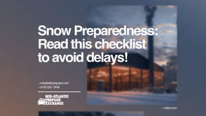 Snow Preparedness Infographic