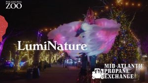 Propane for Holiday Lights