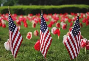 An image of American Flags amongst a field of flowers