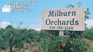 Propane for Fall Orchards