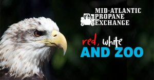 Red White & Zoo