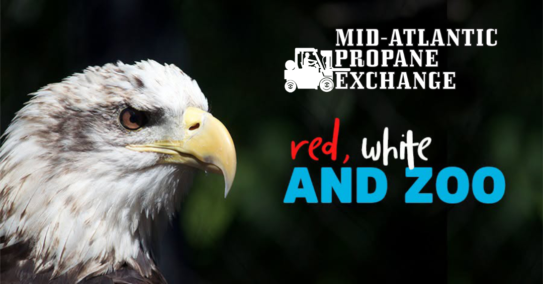 Red White & Zoo