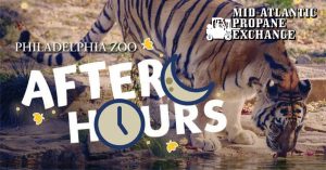 Zoo After Hours