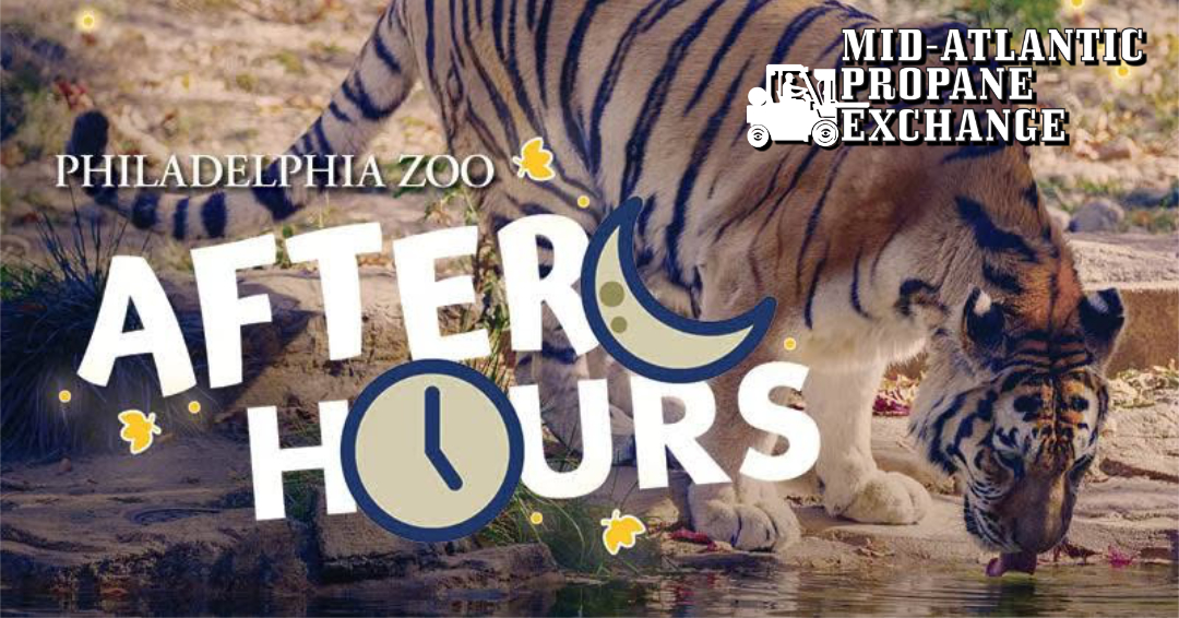 Zoo After Hours